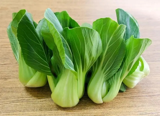 瓢兒菜